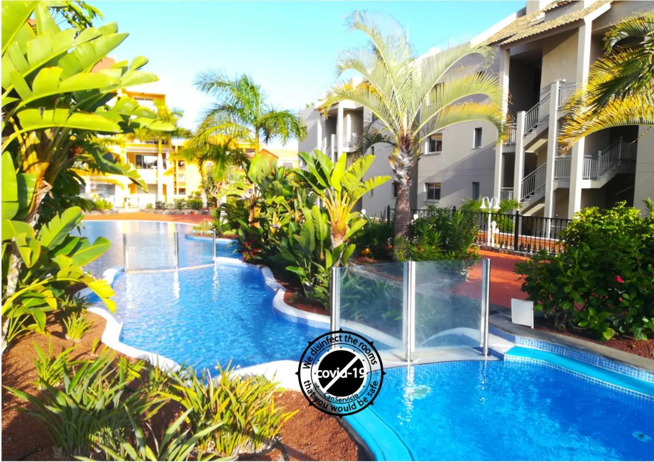 Well Refined Apartment - Stunning Pool 滨海帕尔姆 外观 照片