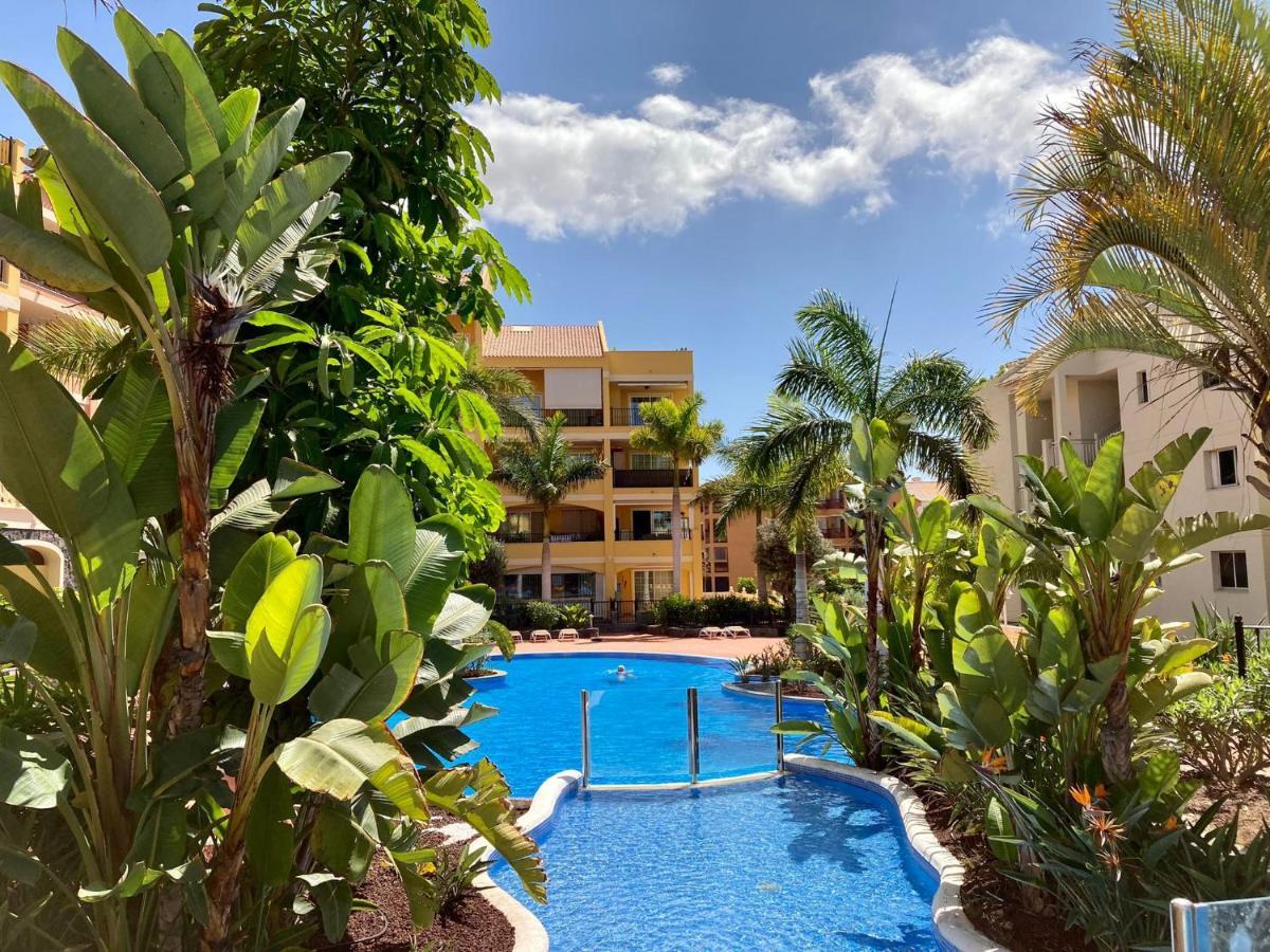 Well Refined Apartment - Stunning Pool 滨海帕尔姆 外观 照片